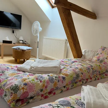 Mezonet Svitkov 21 Apartman *